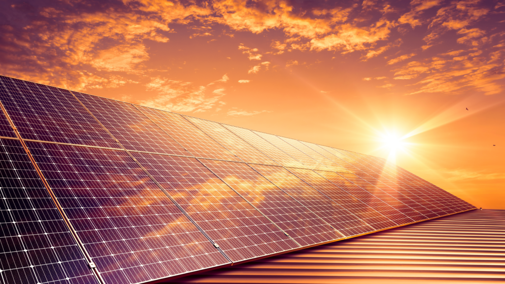 Environmental Sustainability