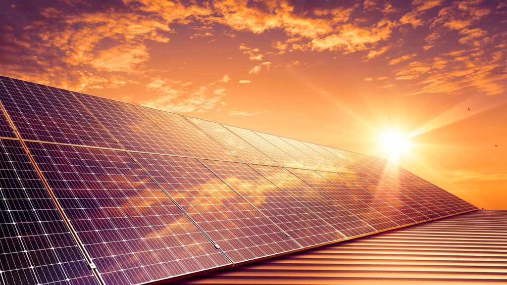 Environmental Sustainability